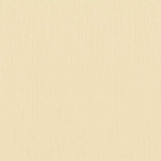 Xαρτόνι scrapbooking 30cmx30cm 216gr  raffia