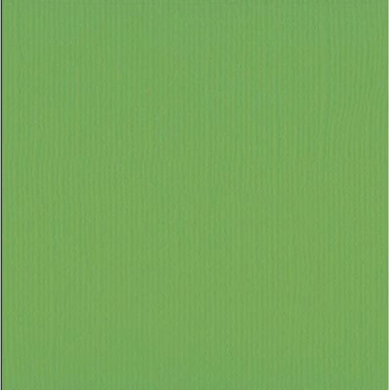 Xαρτόνι scrapbooking 30cmx30cm 216gr frog