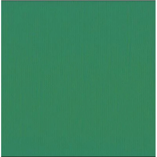 Xαρτόνι scrapbooking 30cmx30cm 216gr broccoli