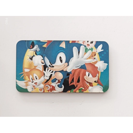 Ξύλινο διακοσμητικό Sonic #2