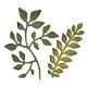Garden Greens