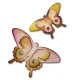 Sizzix Bigz Die - Mariposa