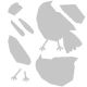 Bigz Die Sizzix  Patchwork Bird by Tim Holtz