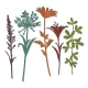 Sizzix Thinlits - Wildflower Stems #2 5τεμ