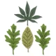 Sizzix Framelits Die Set 3PK 4PK Stamps - Decorative Leaves
