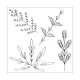 Sizzix Framelits Die Set 3PK 4PK Stamps - Decorative Leaves