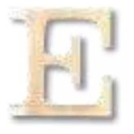 ΓΡΑΜΜΑ 'E'