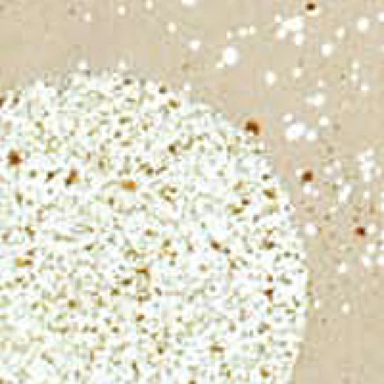 EMBOSS ENAMEL SHABBY WHITE 17gr