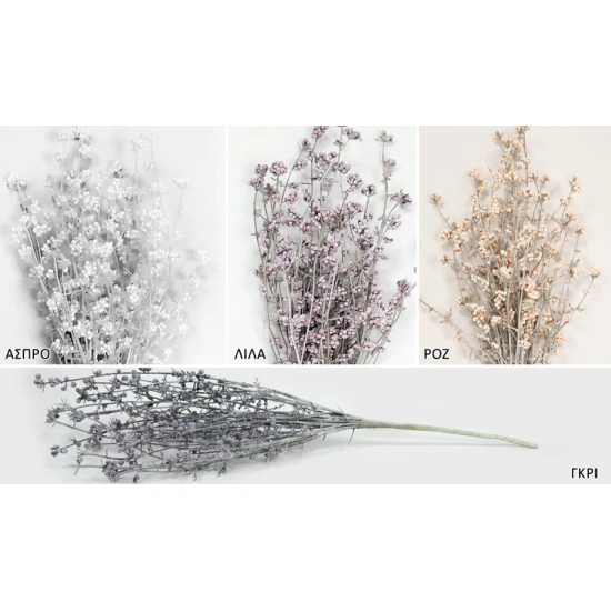 ΚΛΑΔΙ ΜΕ ΣΠΟΡΟΥΣ 42cm SDBFG120155A