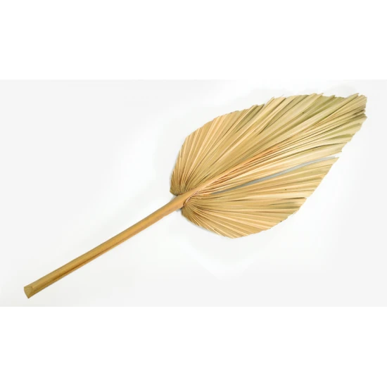ΑΠΟΞΗΡΑΜΕΝΟ ΦΥΛΛΟ ΦΟΙΝΙΚΑ 20cm x 60cm