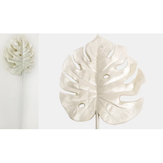 ΜΟΝΣΤΕΡΑ ΛΕΥΚΗ 60cm x 14cm