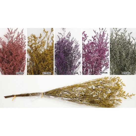 LOVER GRASS 80cm