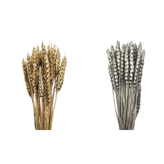 WHEAT 50cm