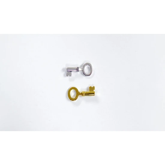 ΜΕΤΑΛΛΙΚΟ ΚΛΕΙΔΙ ΜΙΚΡΟ 25mm x 10mm