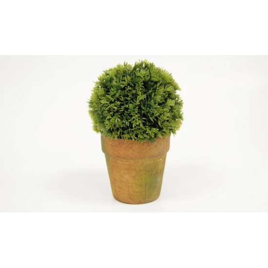 ΓΛΑΣΤΡΑΚΙ ΜΠΑΛΑ 19cm x 12cm ST14-T095