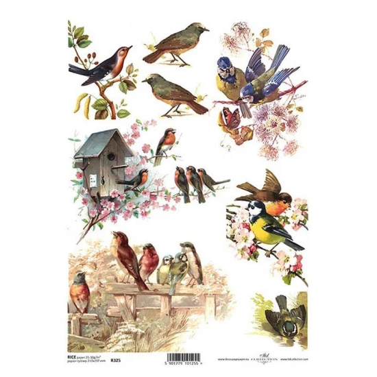 Ριζόχαρτο "birds" 21x29εκ.   (ITD-R325)